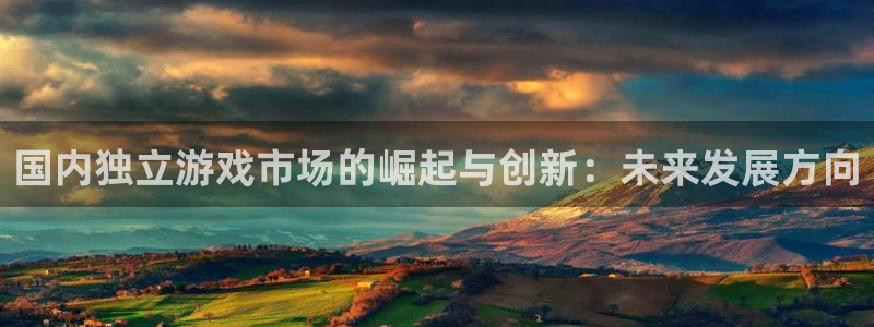 bg大游官网注册方法：国内独立游戏市场的崛起与创新：未来发展方向