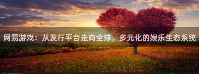 bg大游子教育科技(江门)有限公司：网易游戏：从发行平台走向全球，多元化的娱乐生态系统