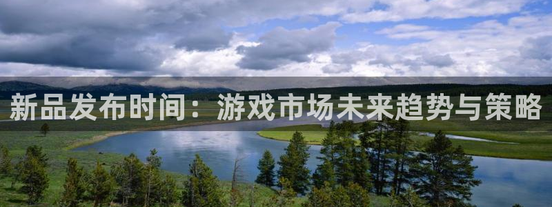 深圳bg大游电商