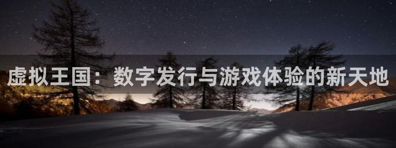 bg大游子怎么样：虚拟王国：数字发行与游戏体验的新天地