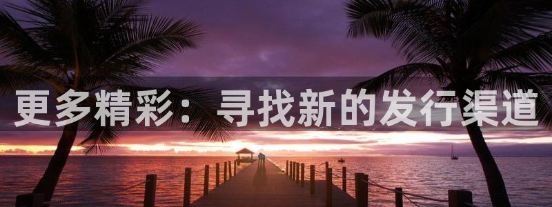 bg大游子经理人杂志：更多精彩：寻找新的发行渠道