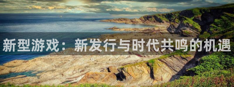bg大游官网平台代理开号：新型游戏：新发行与时代共鸣的机遇