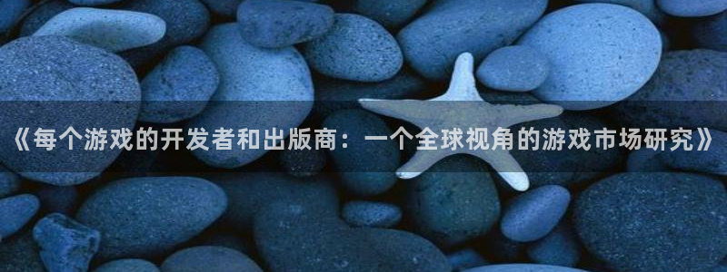 bg大游子文化是干什么的：《每个游戏的开发者和出版商：一个全球视角的游戏市场研究》