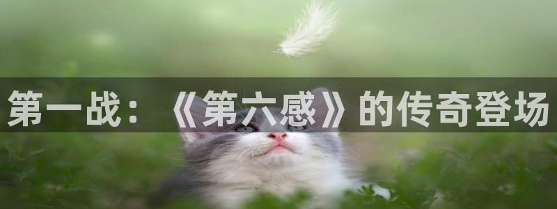 陕西bg大游子文化创意有限公司有什么游戏：第一战：《第六感》的传奇登场