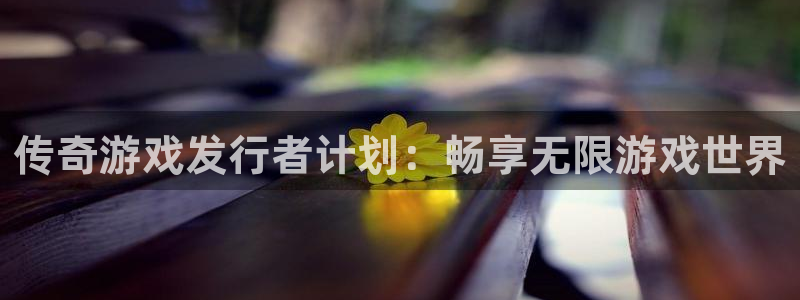 bg大游官网代理开号多少钱：传奇游戏发行者计划：畅享无限游戏世界