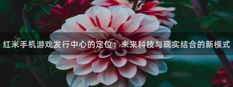 bg大游官网登录注册失败怎么办：红米手机游戏发行中心的定位：未来科技与现实结合的新模式