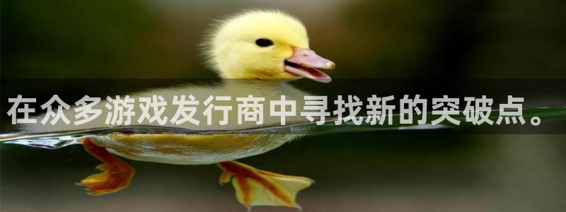 bg大游子赚话费：在众多游戏发行商中寻找新的突破点。