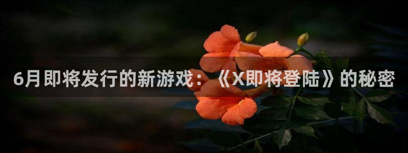 bg大游衣服怎么样：6月即将发行的新游戏：《X即将登陆》的秘密