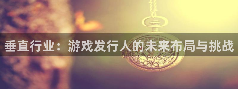 bg大游官网注册平台登录不了：垂直行业：游戏发行人的未来布局与挑战