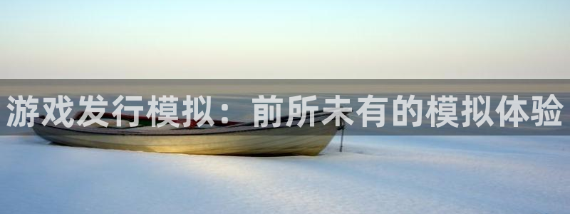 江苏bg大游人力资源有限公司怎么样：游戏发行模拟：前所未有的模拟体验