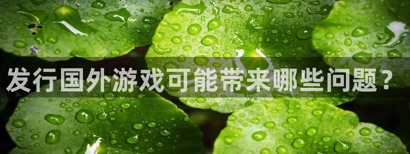 bg大游官网平台招商qq