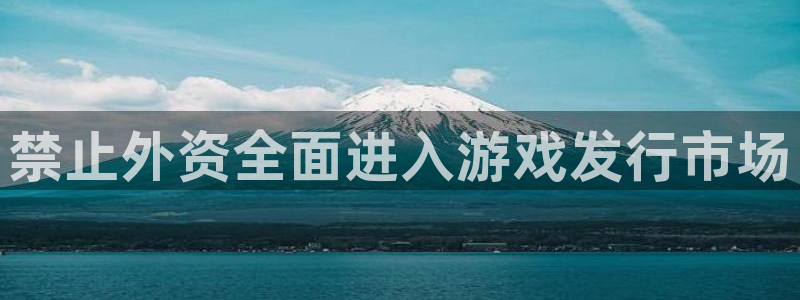 bg大游子经理人