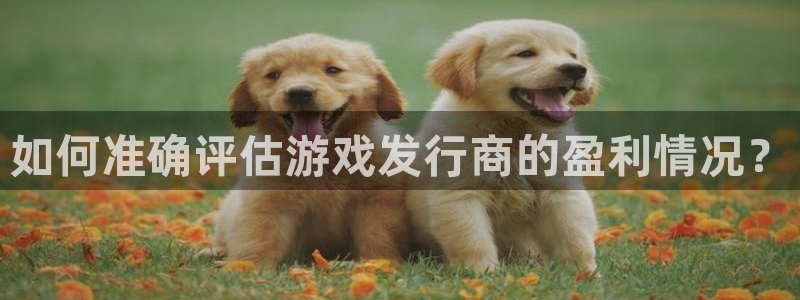 bg大游电商怎么样知乎