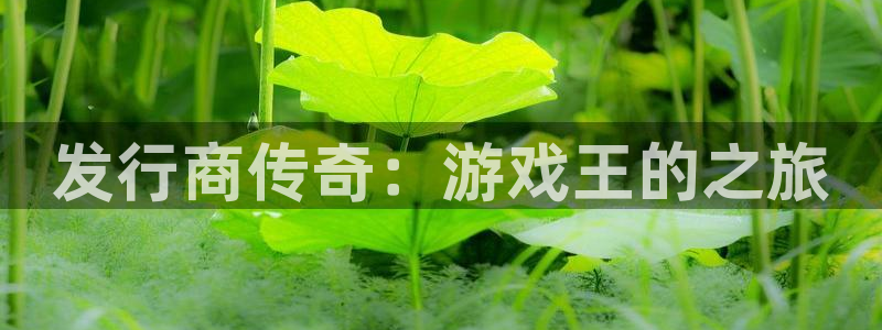 广东bg大游电子商务有限公司：发行商传奇：游戏王的之旅