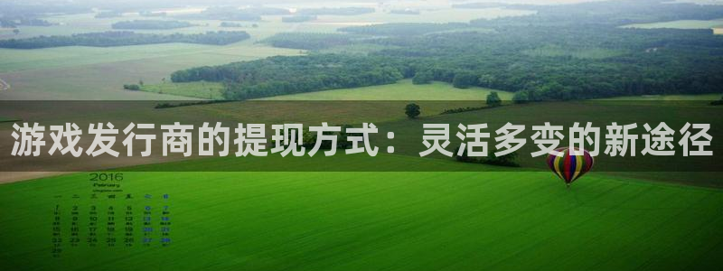 江苏bg大游人力资源有限公司怎么样：游戏发行商的提现方式：灵活多变的新途径